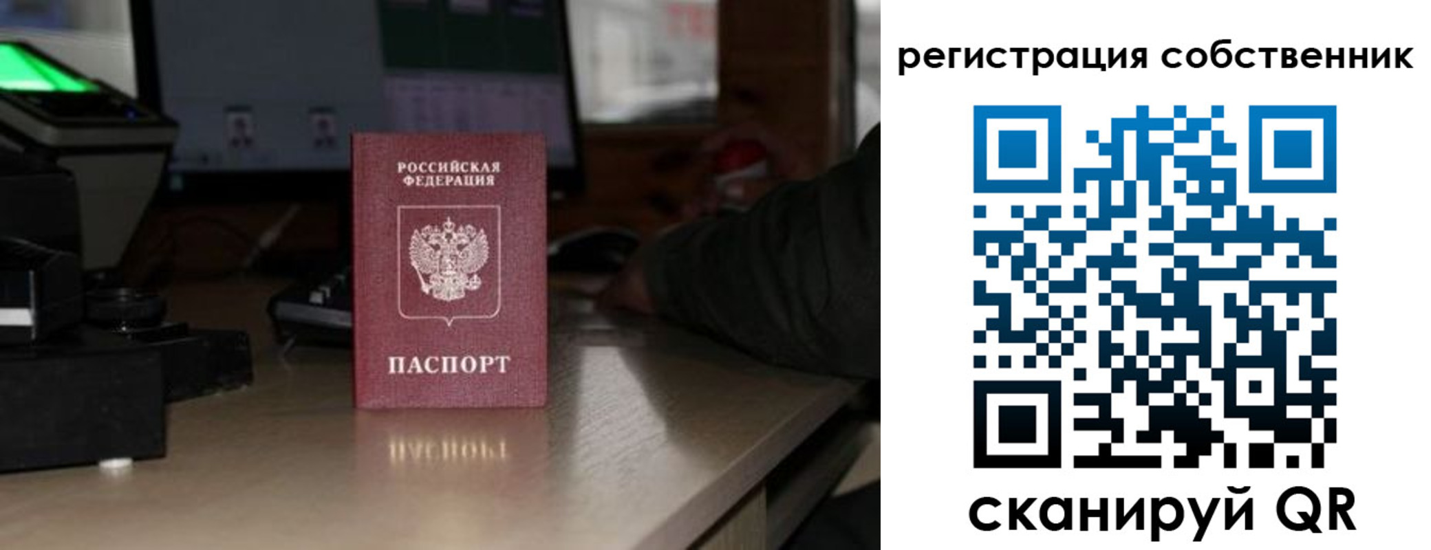 прописка поиск в Красноармейске